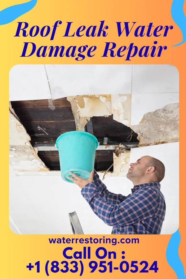 Roof Leak Water Damage Repair in Hatch, UT